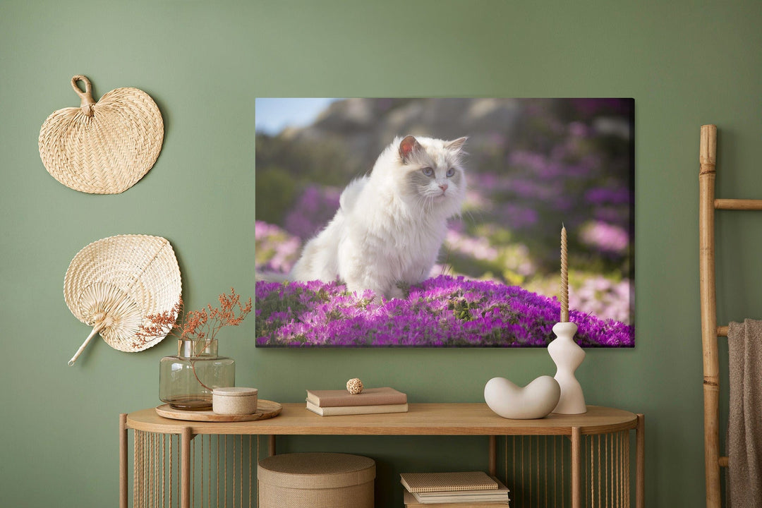 Kanva - Ragdoll kaķis ziedu vidū, N-1438 X-ART