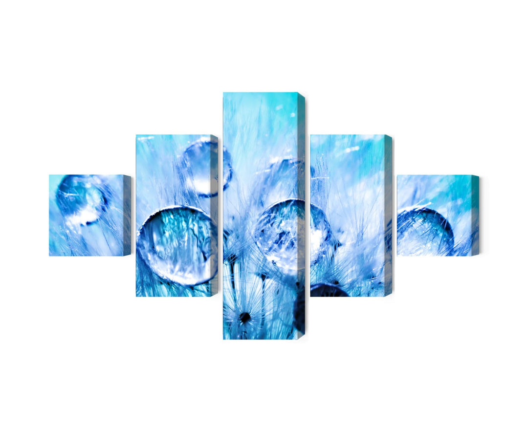 5 daļu kanva: Rasas pilieni uz pienenes X-ART