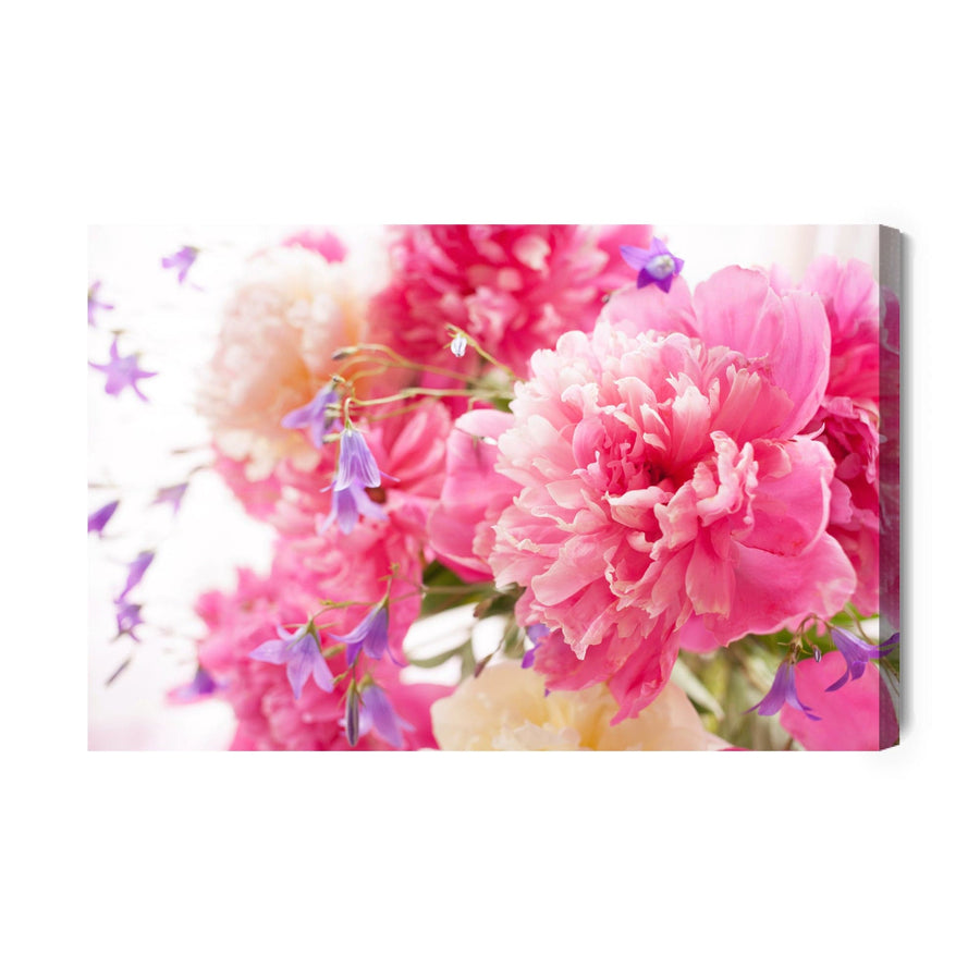 Kanva - Rozā peonijas X-ART