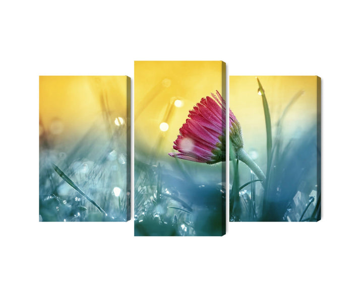 Kanva - Rozā zieds pļavā, N-4250 X-ART