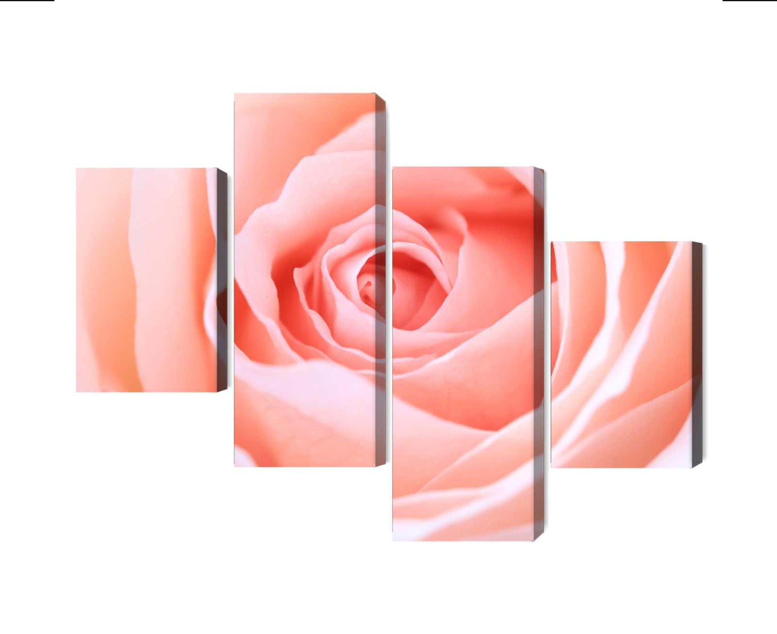 4 daļu kanva: Roze pasteļtoņos, rozā X-ART
