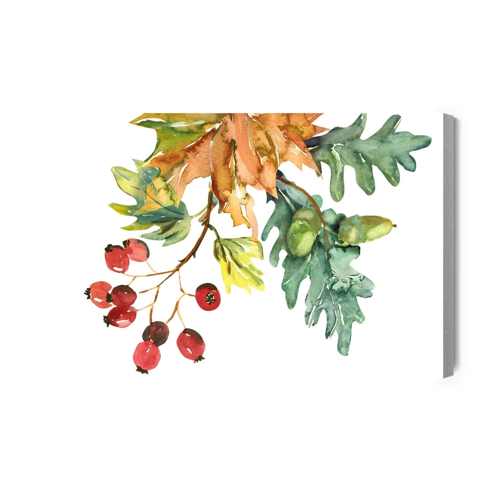 Kanva - Rudens lapas un augļi, gleznoti akvareļu tehnikā, N-1601 X-ART