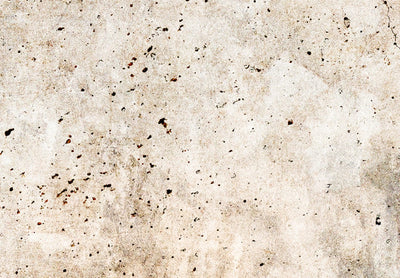 Канва - Текстура ржавчины - абстракция в пастельно-коричневых тонах, 151427 G-ART