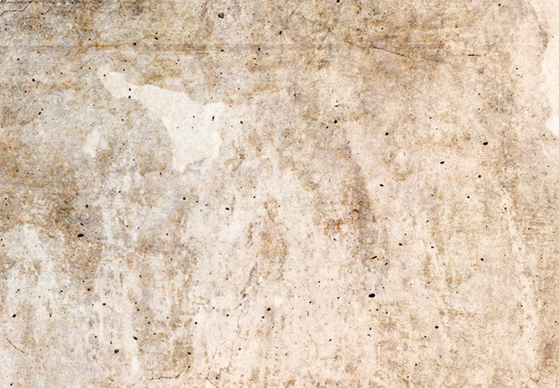 Канва - Текстура ржавчины - абстракция в пастельно-коричневых тонах, 151773 G-ART