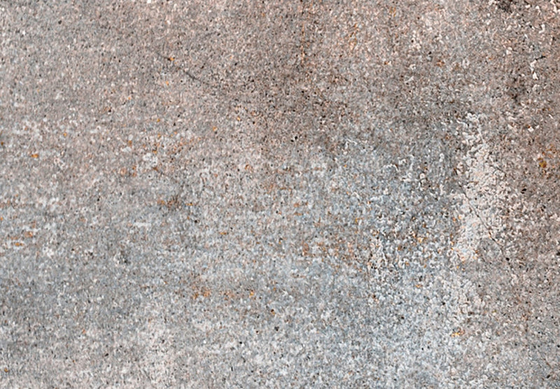 Канва - Текстура ржавчины сепия и серый, 151425 G-ART