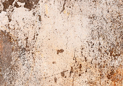 Canva - Rust texture in sepia and grey, 151775 G-ART