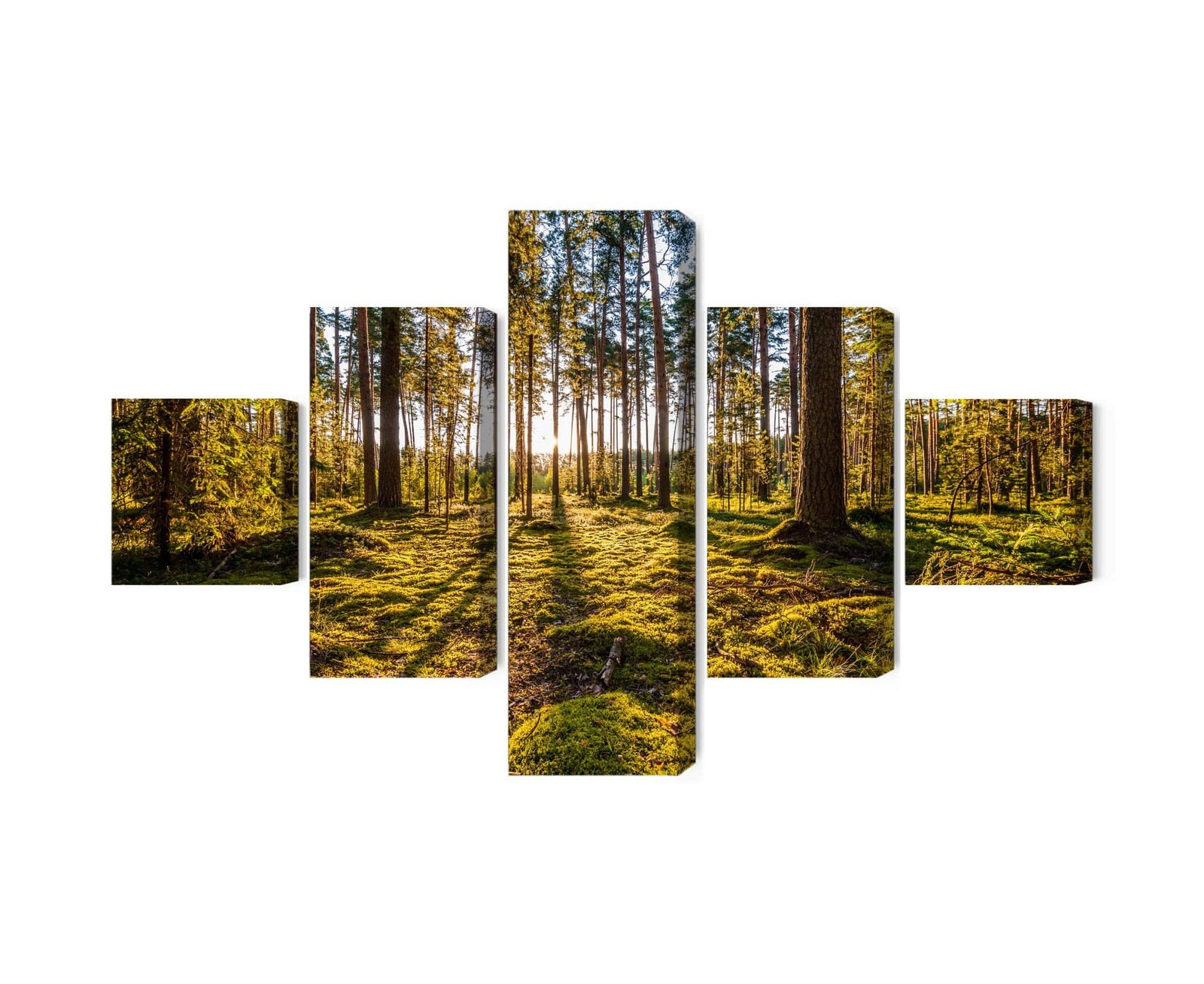 Kanva - Saulaina meža ainava 3D, N-1928 X-ART