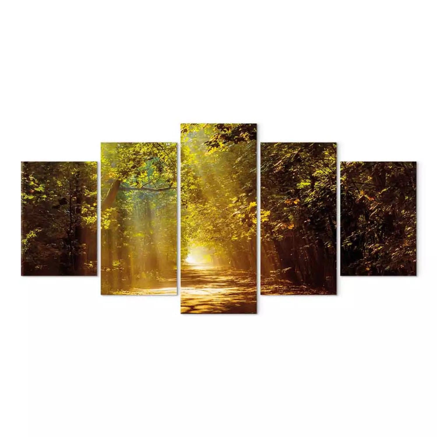 💥ALE | Outlet💥