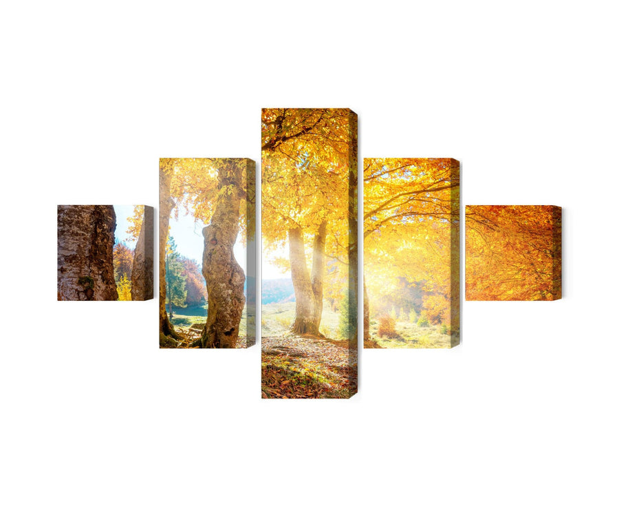 Kanva - Saulains rudens mežs, N-1993 X-ART