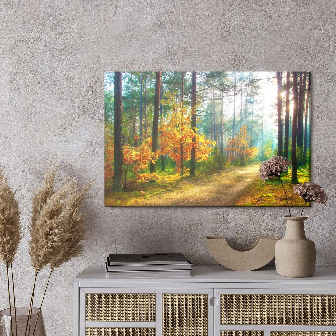 Kanva - Saules stari 3D mežā, N-1232 X-ART