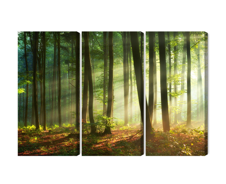 Kanva - Saules stari mežā, N-1857 X-ART