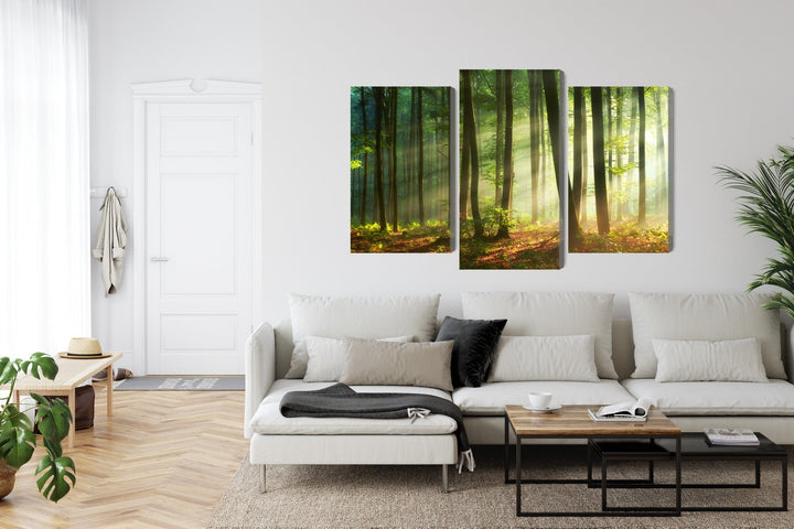 Kanva - Saules stari mežā, N-1858 X-ART