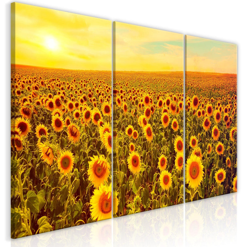 Kanva Saulespuķes saulrietā, 124359  (x 3) G-ART.