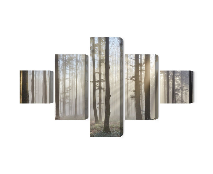 Kanva - Saullēkts mežā, N-1856 X-ART