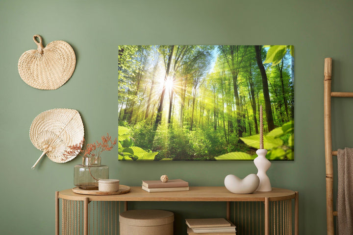 Kanva - Saullēkts zaļā mežā, N-1192 X-ART