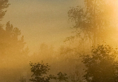 Paveikslai ant drobės - Saulėlydžio miškas, 149263 G-ART