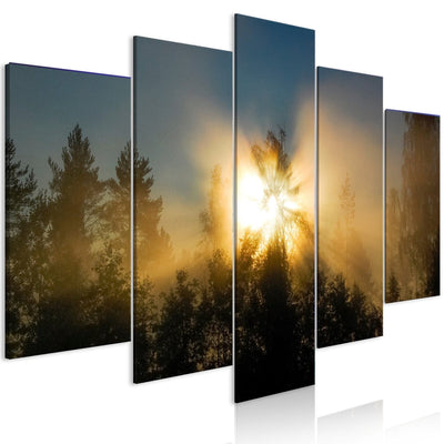 Canva - Sunset forest, 149263 G-ART