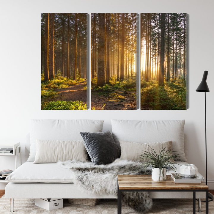 Kanva - Saulriets mežā, N-1864 X-ART