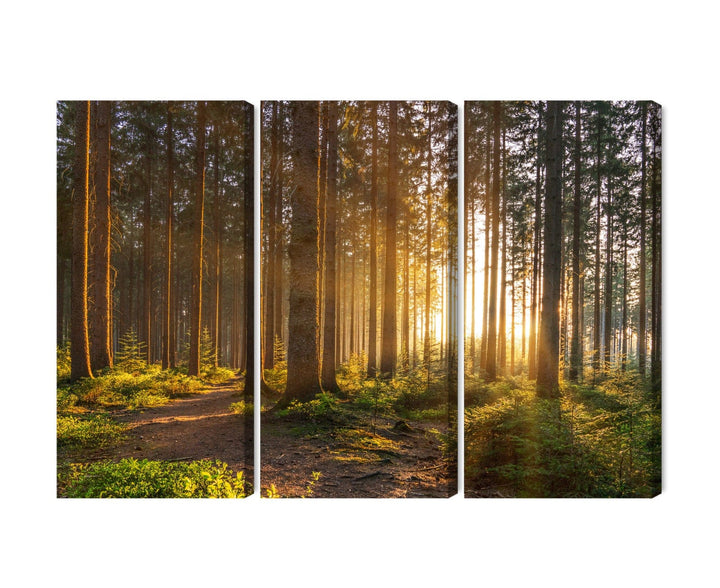 Kanva - Saulriets mežā, N-1864 X-ART