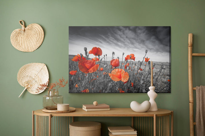 Kanva - Savvaļas magones melnā un baltā pļavā, N-1527 X-ART