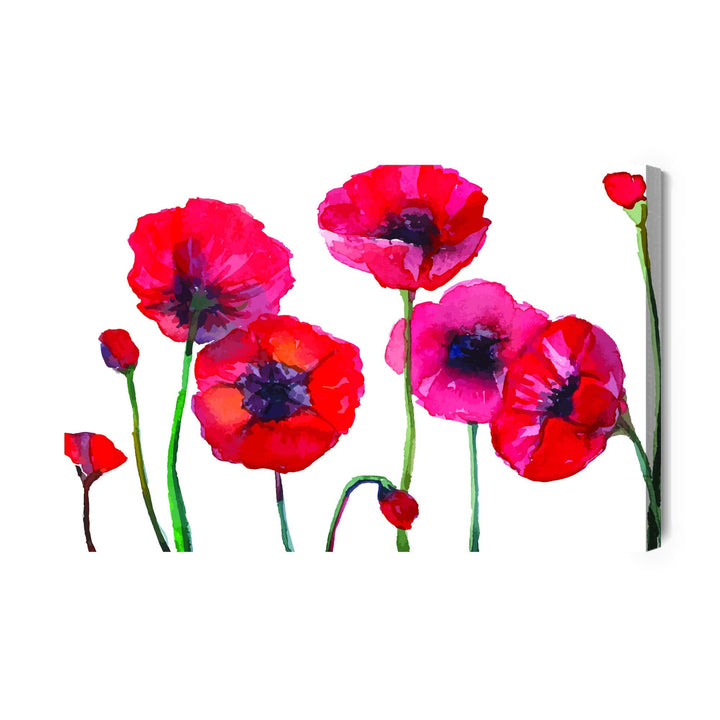 Kanva - Skaistas akrila magones, N-1526 X-ART