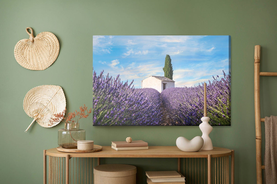 Kanva - Skaisti lavandas ziedi X-ART