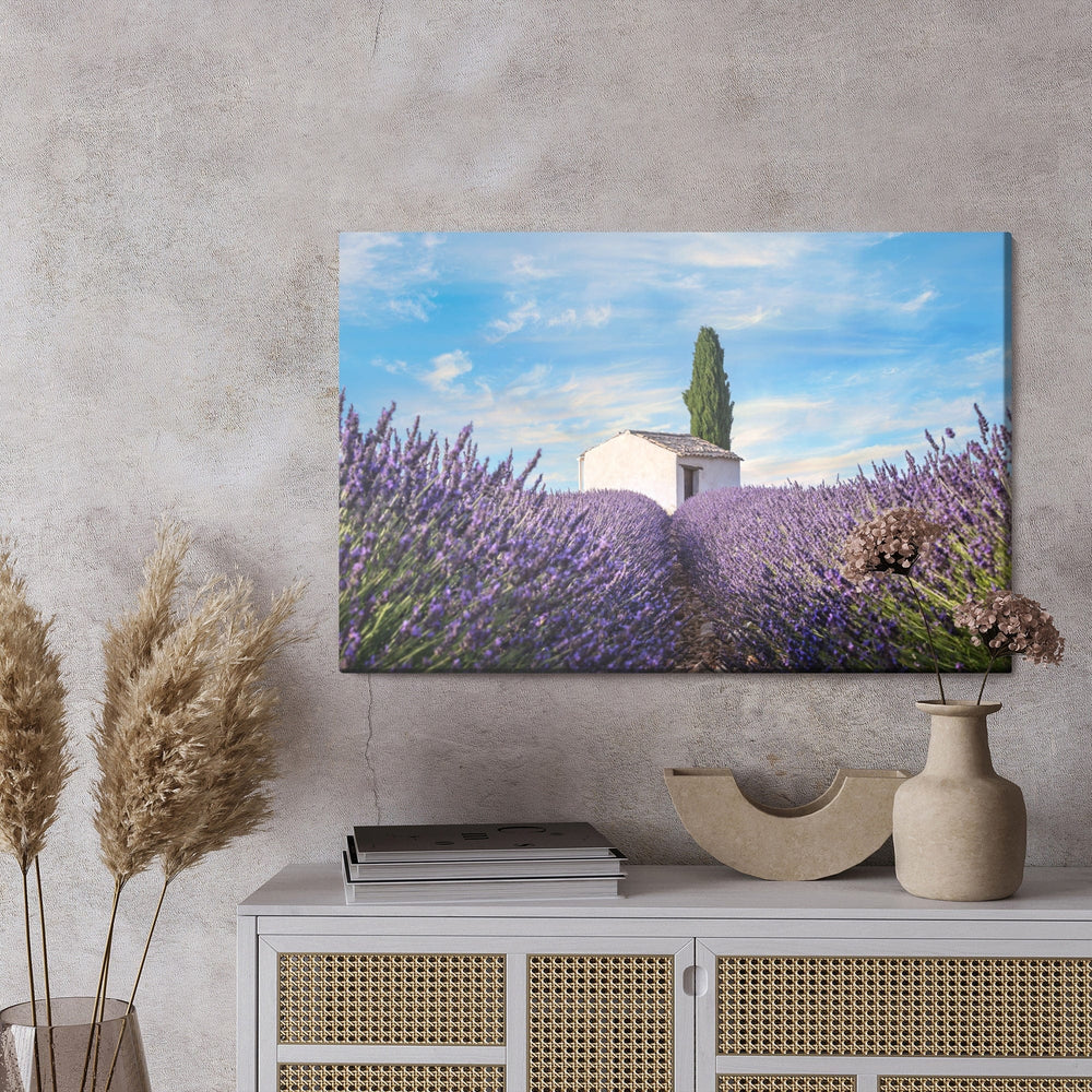 Kanva - Skaisti lavandas ziedi X-ART