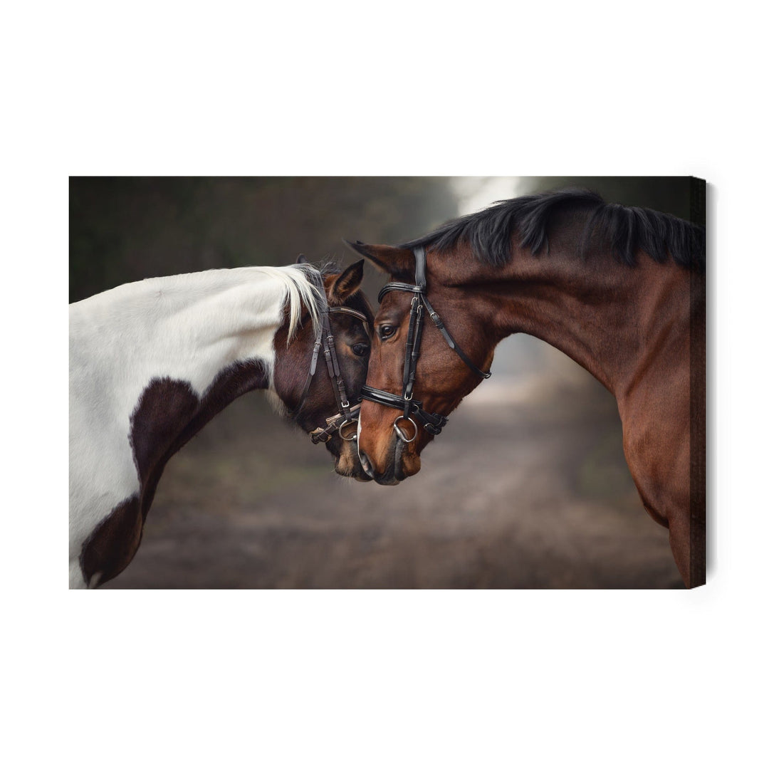 Kanva - Skaisti zirgi mežā, N-392 X-ART