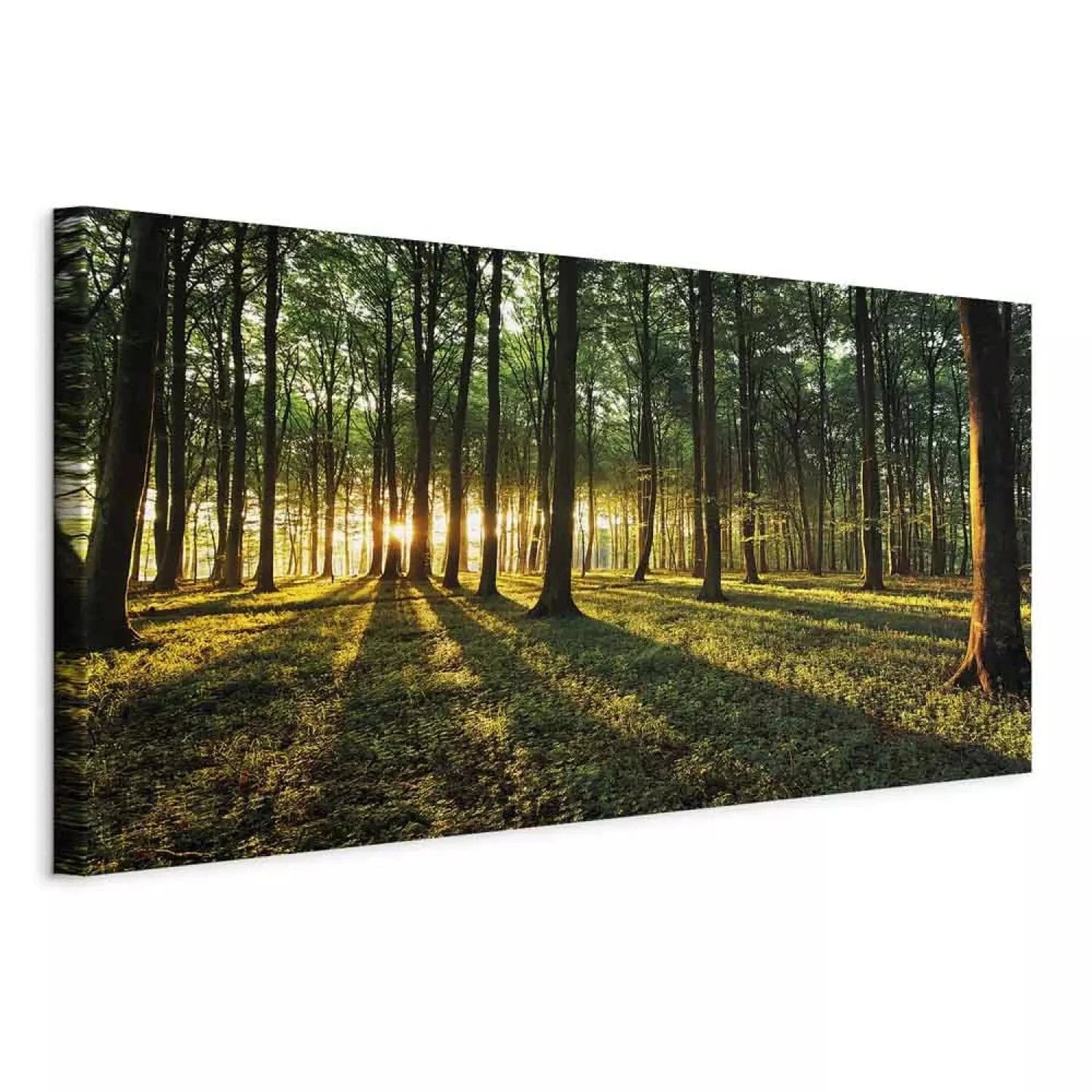 Kanva - Skaists saulains mežs, zaļos toņos - 64103 - dabas stils ART XL