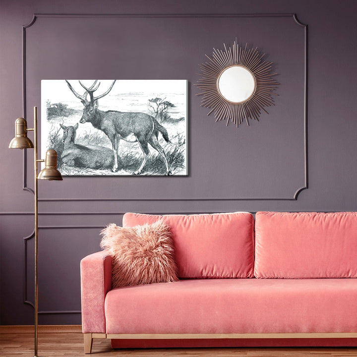 Kanva - Skice ar briežiem, N-762 X-ART