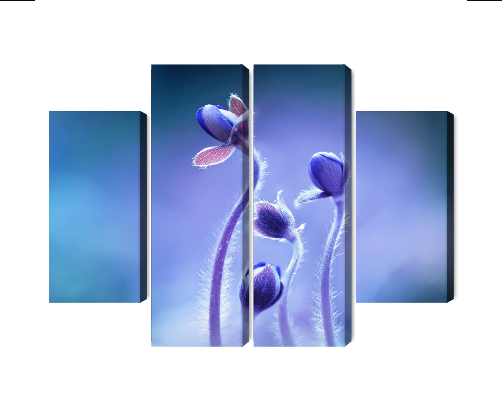 4 daļu kanva: Smalki ziedi makro, zila X-ART