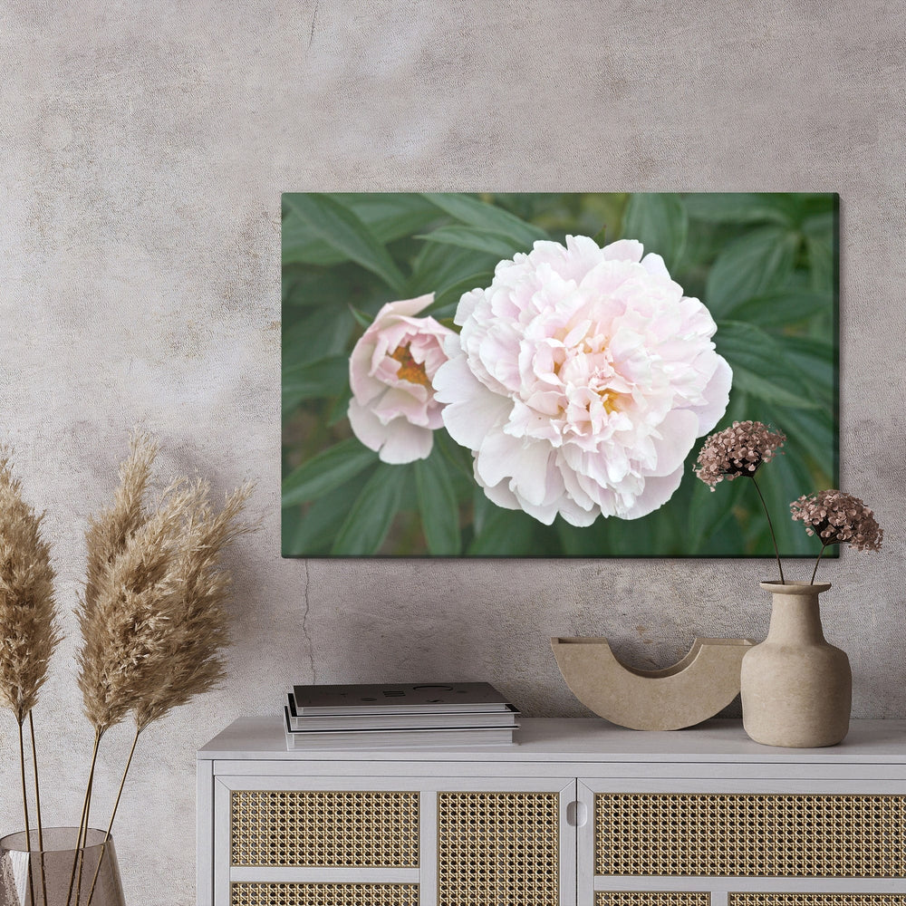 Kanva - Spilgta peonija, N-278 X-ART