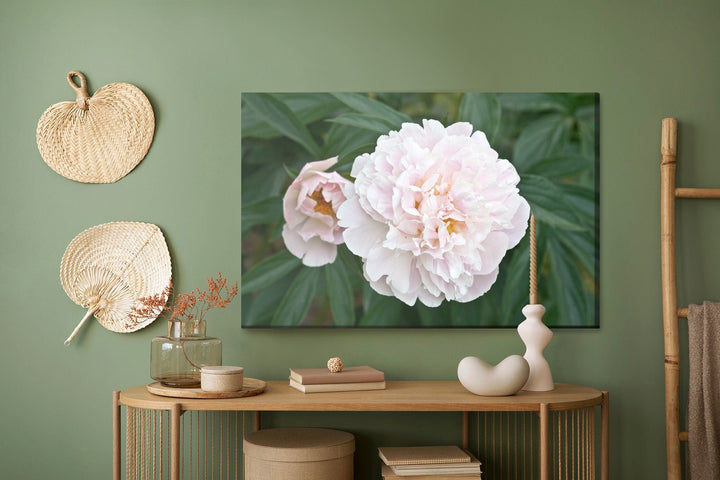 Kanva - Spilgta peonija, N-278 X-ART