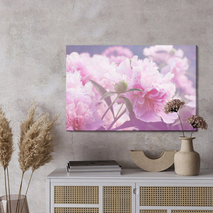 Kanva - Spilgtas peonijas Rozes, N-266 X-ART