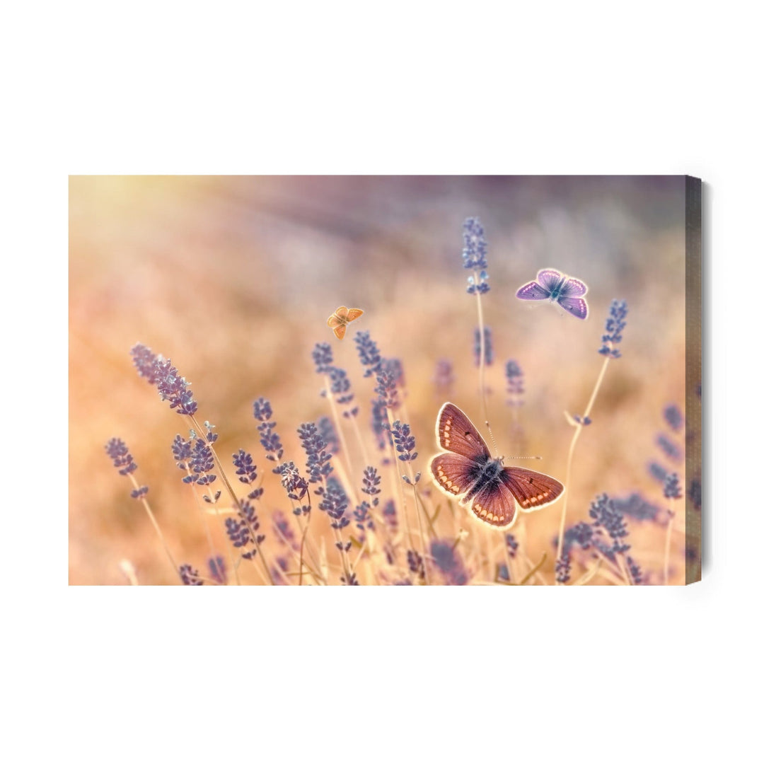 Kanva - Tauriņi lavandas laukā X-ART