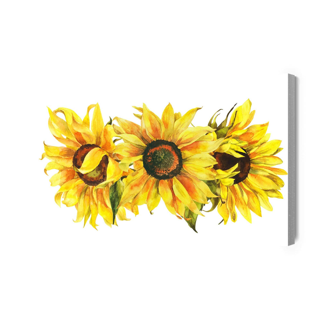 Kanva - Trīs saulespuķes uz balta fona, N-1686 X-ART