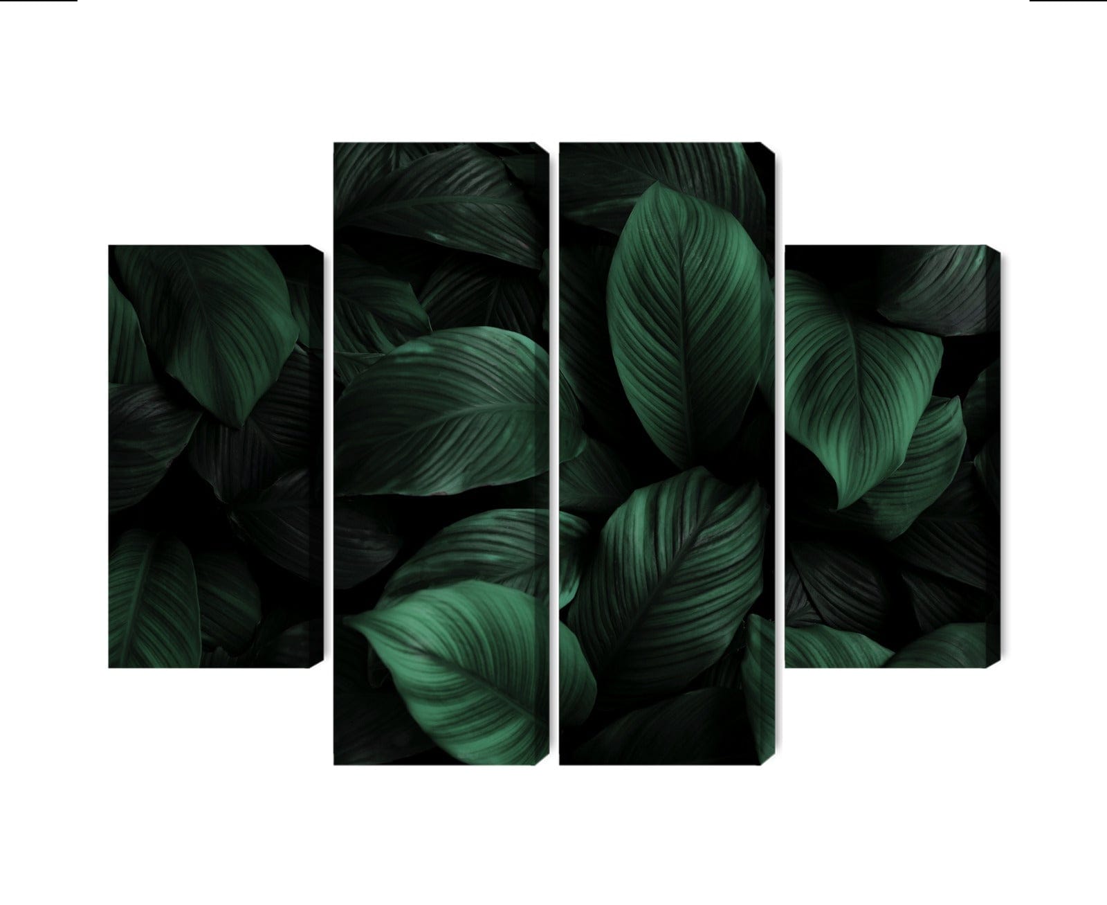 Kanva - Zaļas lapas makro mērogā, N-3715 X-ART