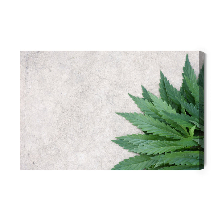 Kanva - Zaļas lapas uz pelēka betona fona, N-1650 X-ART