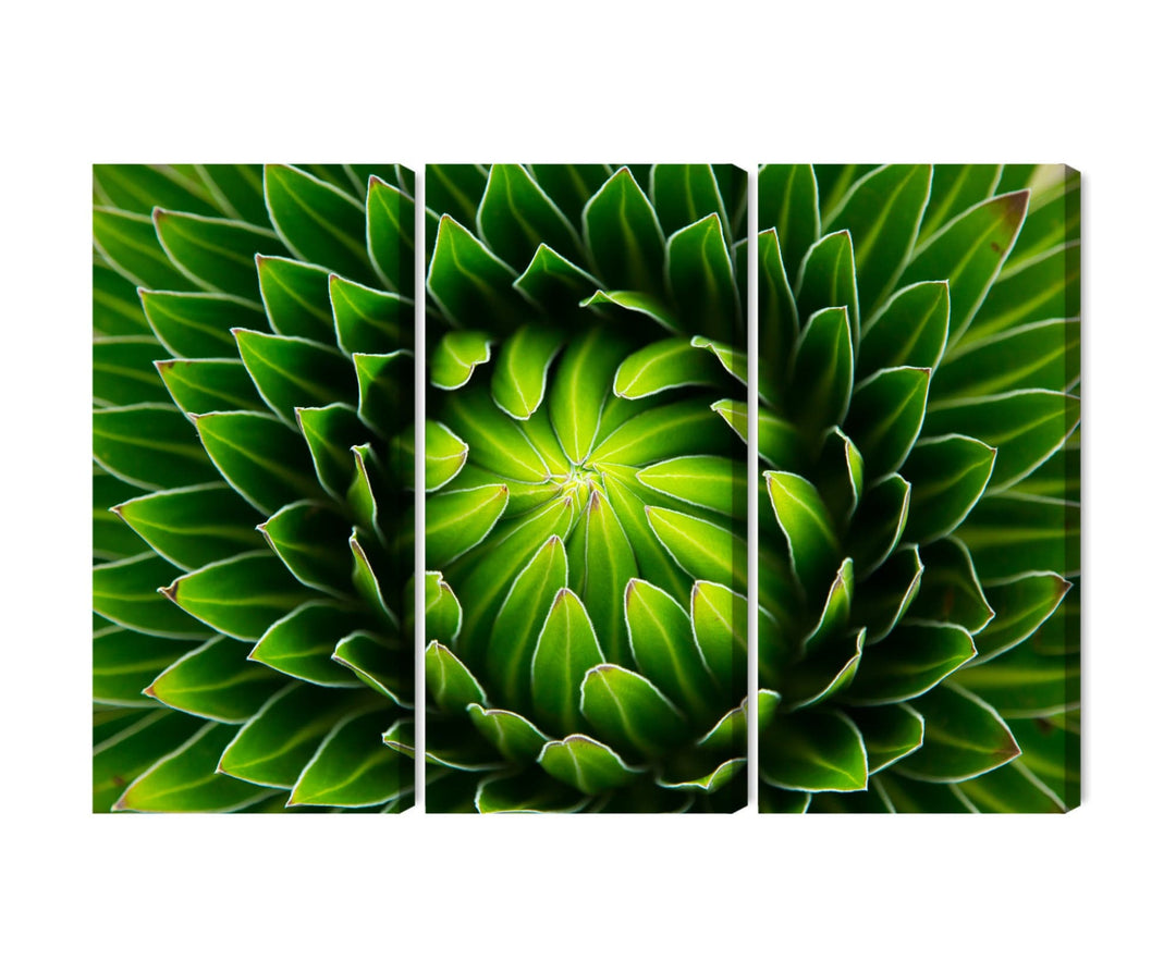 Kanva: Zaļš augs makro mērogā, zaļa X-ART