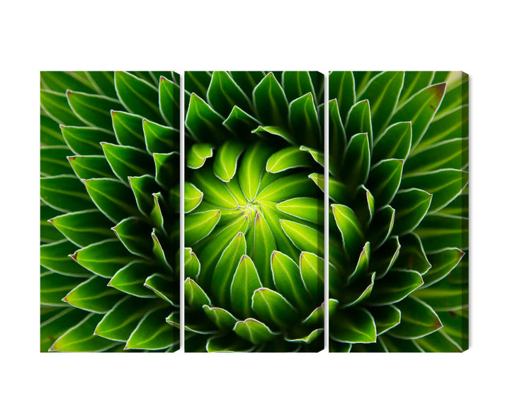 Kanva: Zaļš augs makro mērogā, zaļa X-ART