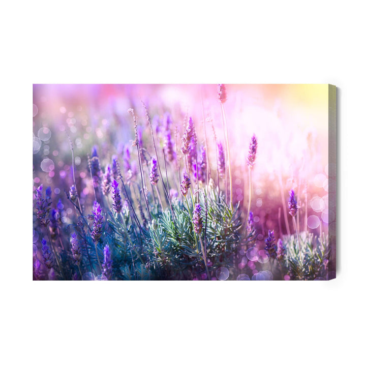 Kanva - Ziedoša lavanda 3D, N-1465 X-ART