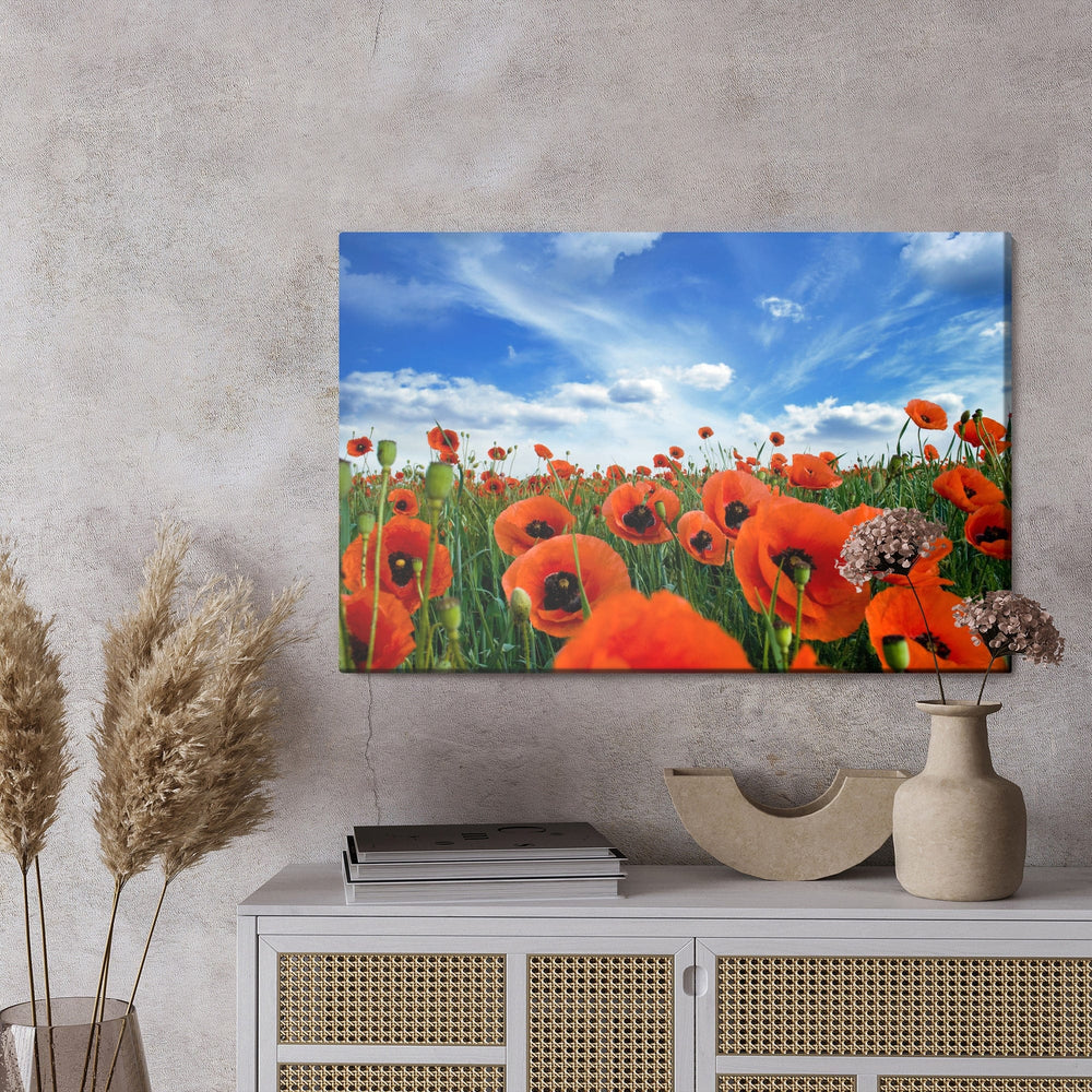 Kanva - Ziedošas magones pļavā 3D, N-1530 X-ART