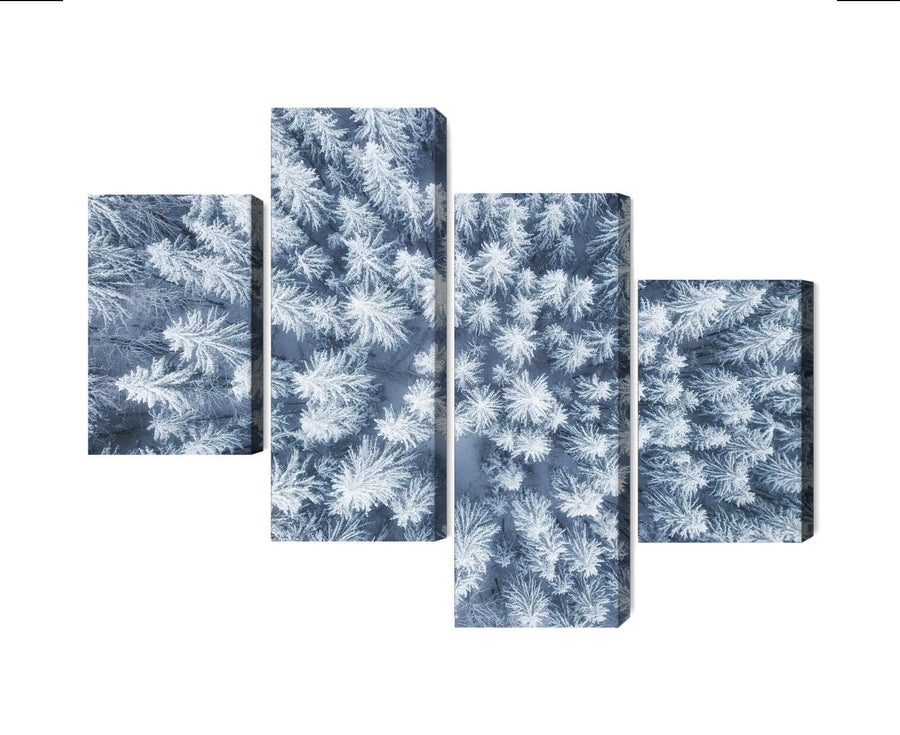 Kanva - Ziemas meža skats no gaisa, N-1922 X-ART