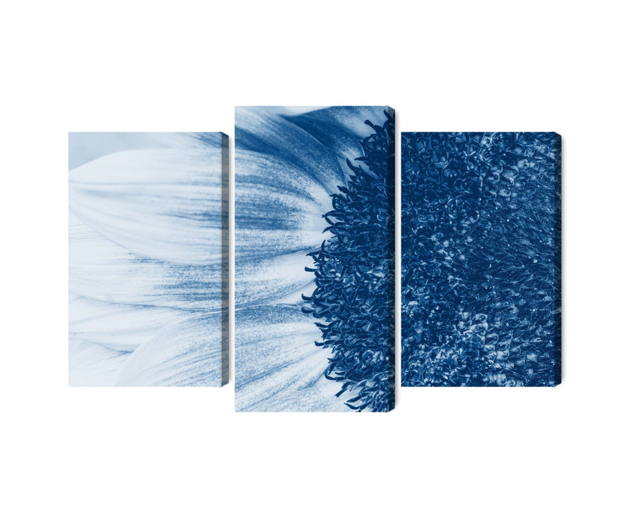 Kanva: Zila saulespuķe makro mērogā X-ART