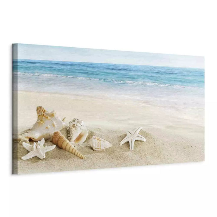 Glezna Jūras Krasts un Gliemežvāki – Dekors Vannas Istabai ART XL