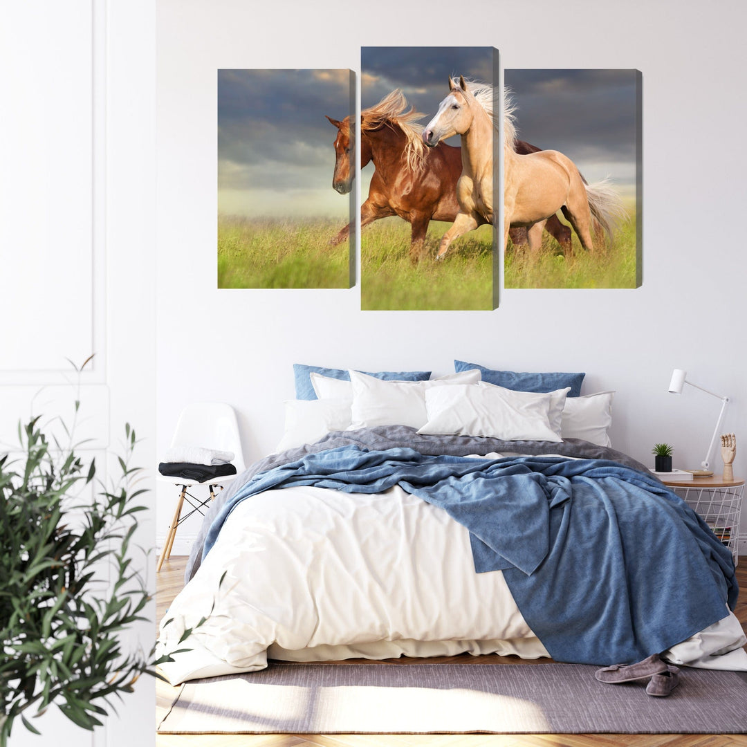 Kanva - Zirgi galopā pļavā, N-4609 X-ART