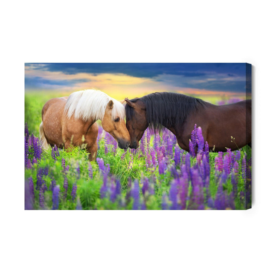 Kanva - Zirgi, kas mīl ziedus, N-376 X-ART