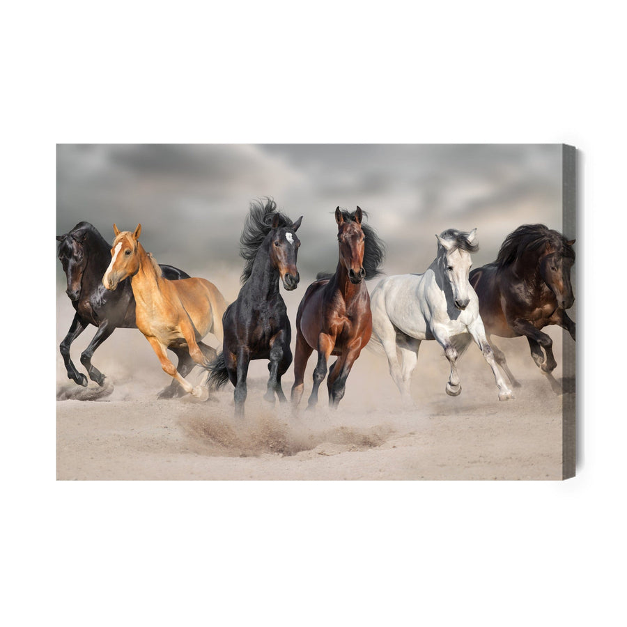 Kanva - Zirgi pie jūras, N-368 X-ART