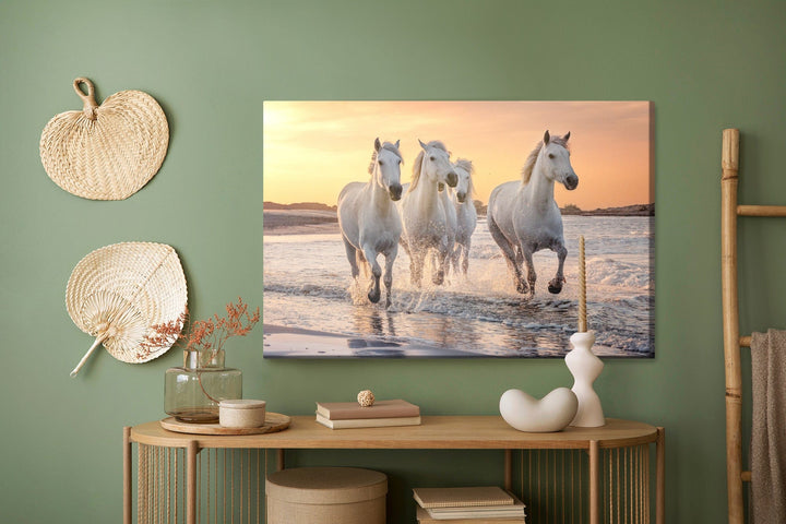Kanva - Zirgi pie Vidusjūras, N-366 X-ART