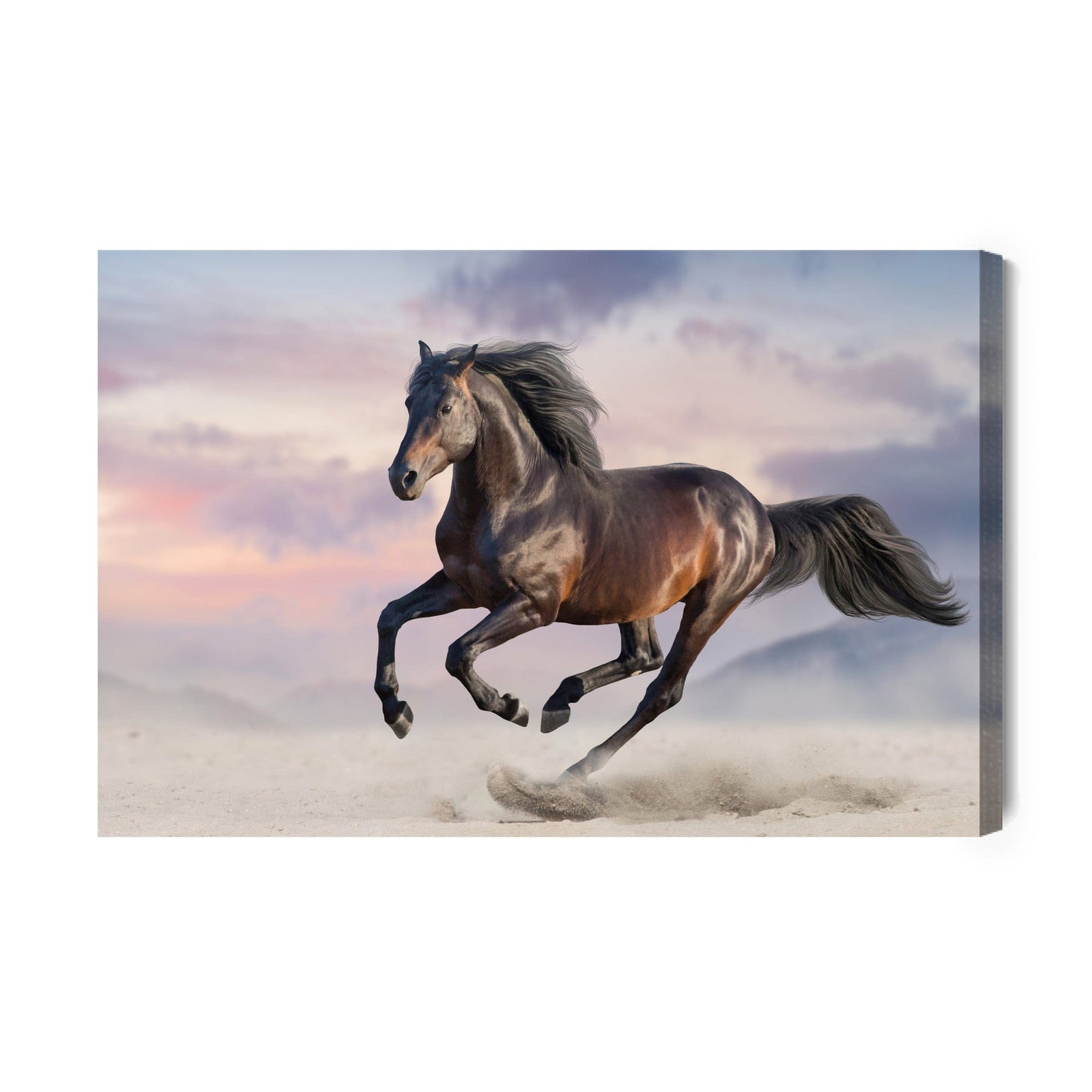 Kanva - Zirgs galopā X-ART